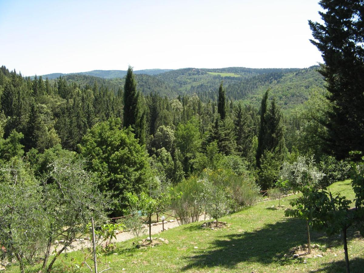 Tenuta La Cipresseta Monsanto Εξωτερικό φωτογραφία